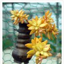 오수리농장 이미지