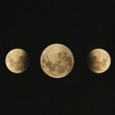 화이트 뮤즈 이미지