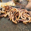 대삼파티