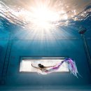 머메이드 | 머메이드 아웃핏 인어 꼬리 어디서 사요? 빌려요? 대여부터 구매까지 ! 벨룩 머메이드 대여 후기