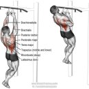 K.PT&FITNESS 이미지