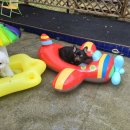 니멍내멍 이미지