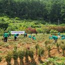 단양-단양-06 이미지