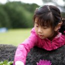 휘겔하임 이미지