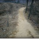 여우쉼터 이미지