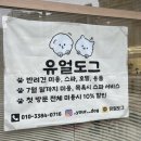 알콩달콩 애견미용실 | 깔끔했던 동남지구 용암동 애견미용 유얼도그