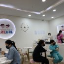 노리들노리쌤고양