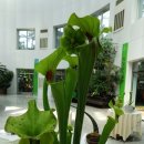 부천자연생태박물관 이미지