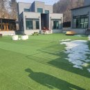 퍼피랜드 이미지