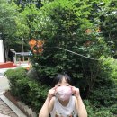 둘리문구사 이미지