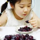 당골농원 이미지