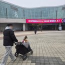 펫소울메이트 | [참여후기] 2026 일산 킨텍스 마이펫페어 Part 1 - 첫째 날 금요일 오전 방문후기 | 중형견 진도믹스