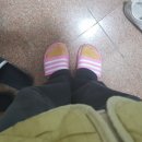 견묘상회