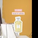 연예인 in my bag 속의 향수들 (+추가 이미지