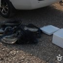 신시도어촌체험휴양마을 이미지