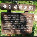 단구대 티스토리