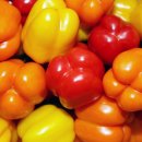 뉴피앙세 이미지