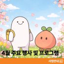 양지동행정복지센터 | 성남시청소년청년재단 4월 주요 행사 및 프로그램 안내