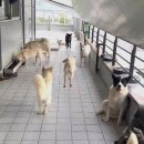 첨단우리동물병원 이미지