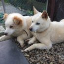 소양농장 이미지