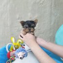 화순 토이샵 이미지