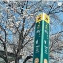 서동1구 | 불광천 벚꽃축제 감성숙소 추천 새절역 에어비앤비 스테이로그인 위홈