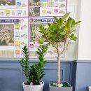 대원일등공인중개사사무소 이미지