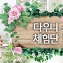 스프링가든 이미지