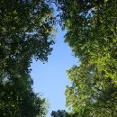 산림생태문화체험단지 이미지