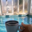 사슴은 꽃이었다 이미지