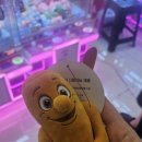 인형뽑기학과
