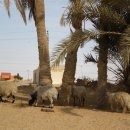 마라의샘 이미지