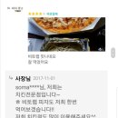 피자비토랩 이미지