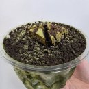 설빙원당점 | 올여름 빙수 맛집 순위! 1인 팥빙수부터 설빙 인절미·애플망고치즈·녹차빙수까지 솔직 후기