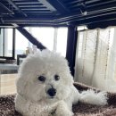 보덕동행정복지센터 이미지