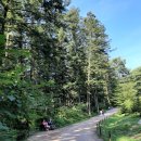 광릉수목원 이미지