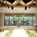 파티오-25 이미지