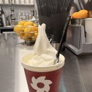 빠우 - 중구 을지로 157 | 코엑스 빠우 도넛 후기 무료 도넛 + 가성비 디저트 끝판왕