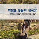 GS25가좌신명 | 벚꽃 없는 화담숲 실시간 포토존 편의점 모노레일 자리 주차팁