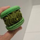 올림픽로100(커피빈앞) 이미지