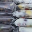 창원도계부부시장 이미지