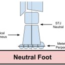 Pathomechanics of the Foot 이미지