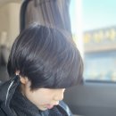 지오살롱 | 울산 무거동 미용실 남자 쉐도우펌 감성살롱 재방문후기