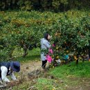 해종농장 이미지