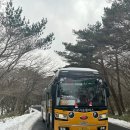 제주도, ‘한라눈꽃버스’ 13일부터 운행…설경 명소 1100고지 접근성 강화 이미지