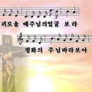 보라로운 이미지