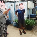 김성문농장 이미지