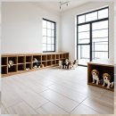 행신초등학교 | 행신 강아지입양 후회 없는 선택을 위한 현실 가이드