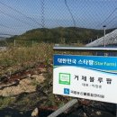 유계농장 이미지