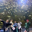 단남초등학교 이미지